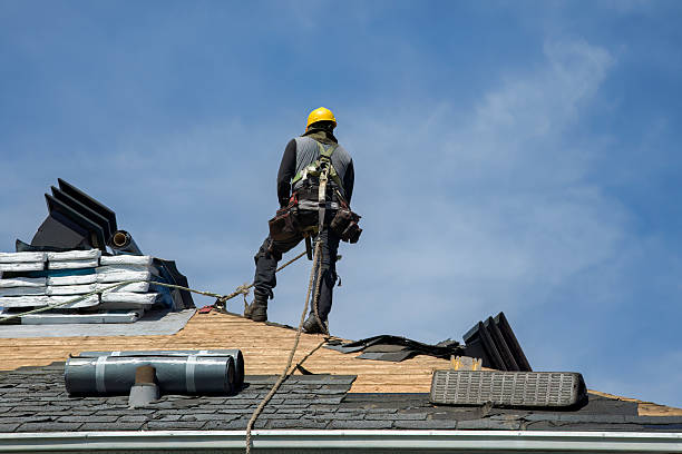Professional Storm Damage Roof Repair technician working in Barnesville, MN